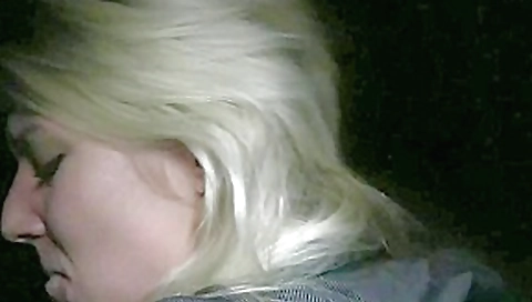 Arousing cock sucking pleasures