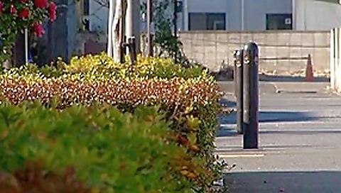 Fabulous Japanese slut Nozomi Ooishi in Horny Public JAV scene Fabulous Japanese slut Nozomi Ooishi in Horny Public JAV scene