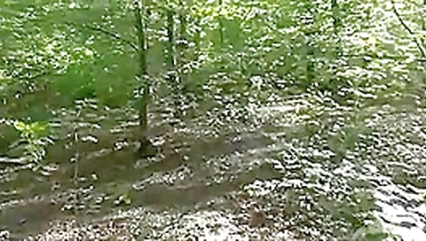 Stranger join fuck wench wife in woods Stranger join fuck wench wife in woods