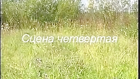 peliroja en el campo peliroja en el campo