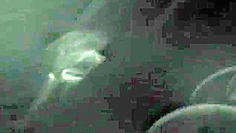 CLIP #35 _ Voyeurismo Public Sex_2 CLIP #35 _ Voyeurismo Public Sex_2