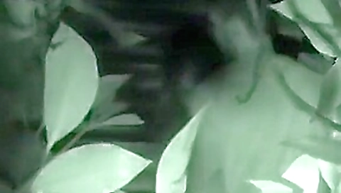 CLIP #204 _ Voyeurismo Public Sex CLIP #204 _ Voyeurismo Public Sex