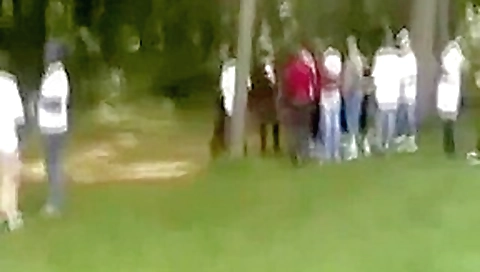whores in a park
