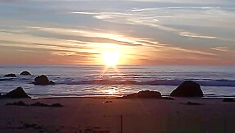 beach safaris sex hd 12 beach safaris sex hd 12