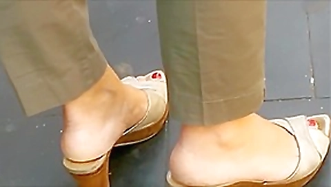 Candid Mules At A Bus Stop Candid Mules At A Bus Stop