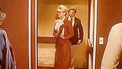 Amber Lynn Elevator Amber Lynn Elevator