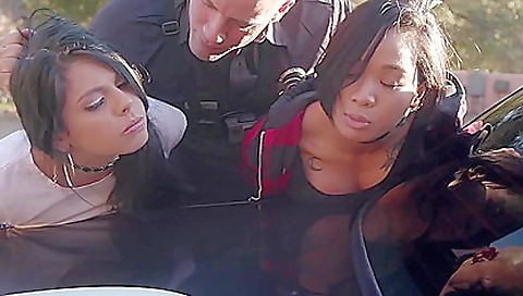 Illegal Ladies