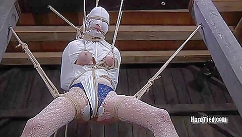 Hardtied Caught In The Web Star Hardtied Caught In The Web Star