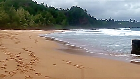 Rafians Beach Safaris 19 Rafians Beach Safaris 19