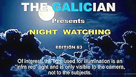 Galician Night 83