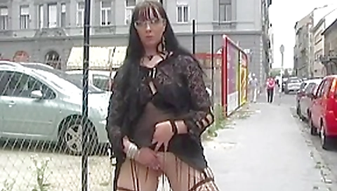 hungarian non-professional RITA public hungarian non-professional RITA public