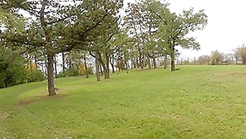 Outdoor fuck with a nasty brunette Outdoor fuck with a nasty brunette