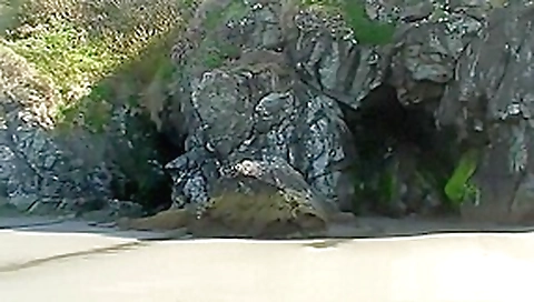 Rafians Beach Safaris 16 Rafians Beach Safaris 16
